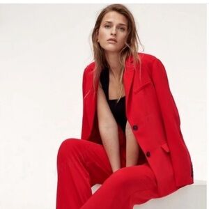 Aritzia Babaton Demy blazer in L